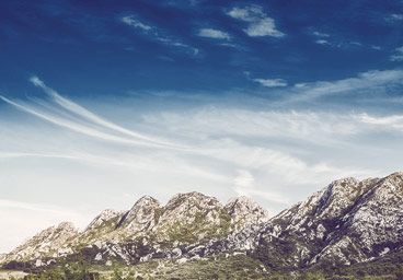 激活码批发的短信测试app