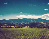 会员充值网站的永久免费轰炸电话网页版